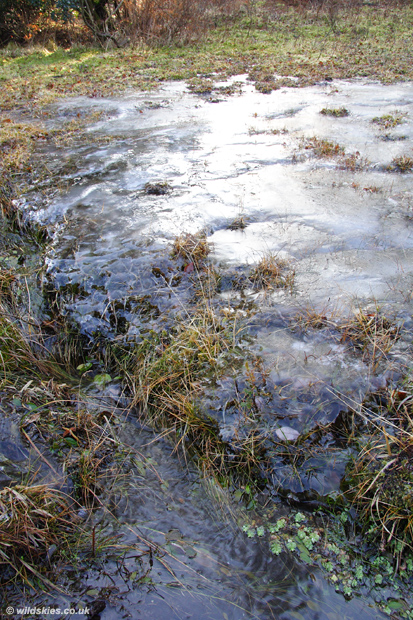Ice
